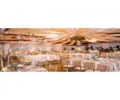 The Perfect Weddings,Pitam Pura