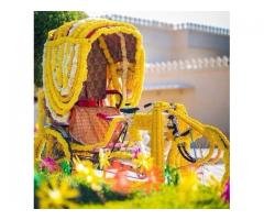 Delhi wedding planner,Hari nagar