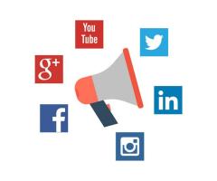 WebMatriks Social Media Optimization Services