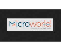 Microworld Infosol Pvt. Ltd.