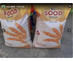 Sood Seeds Co. Pvt Ltd