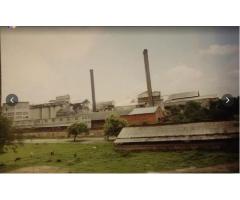 Dalmia Nagar factory