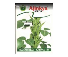 Ajinkya Seeds Pvt Ltd