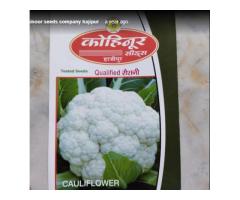 Kohinoor seeds company hajipur