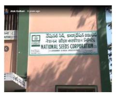 National Seeds Corporation Limited (RO)