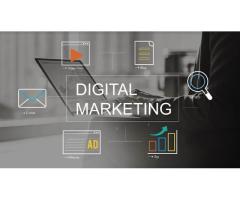 social kalakaar | Digital Marketing Services in Pali & Jodhpur