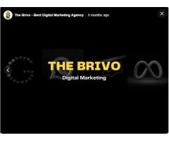 The Brivo - Best Digital Marketing Agency