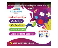 Star Web Maker Services: Website Designing Company in Noida