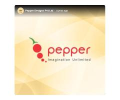 Pepper Designs Pvt Ltd