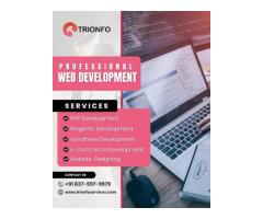 Trionfo - Digital Marketing Company in Noida