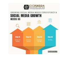 CodSkora Web Pvt. Ltd.   Noida  Delhi NCR  India - Let s Bring Everyone Online