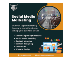 Silverfox - Digital Marketing Agency