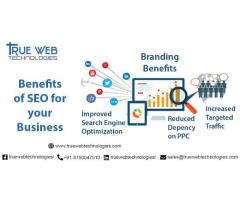 True Web Technologies - Digital Marketing Agency in Noida - NCR  India