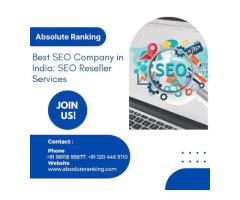 Absolute Ranking Pvt Ltd | Digital Marketing | SEO Reseller Company in India