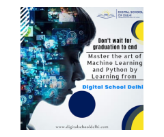 Digital School of Delhi- An institute for Digital Marketing Course and IT training in Faridabad