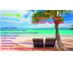 Delightful Holidays