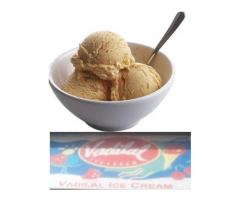 Vadilal Ice Cream