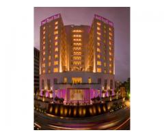 THE RAINTREE ANNA SALAI