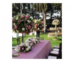 STEMLINE FLORAL DESIGN