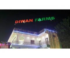 Diwan Farms