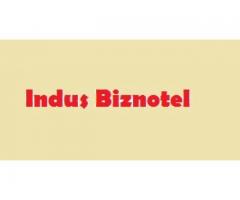 Indus Biznotel