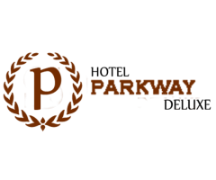 Hotel Parkway Deluxe,Pahar Ganj